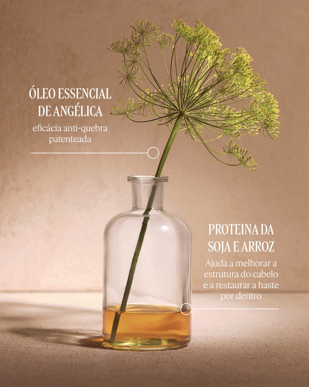 Shampoo Repara&ccedil;&atilde;o Intensiva Aromacologia 300ml, , large